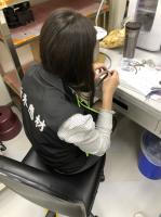 Construction Performance